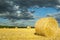 Round straw bales on mown grain field against dramatic sky with