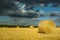 Round straw bales on mown grain field against dramatic sky with