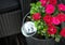 Round transparent self watering device globe inside potted rose plant soil in home garden.