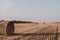 A round twisted straw haystack in a field. Orange mown wheat field. A circle of straw