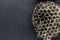 Round, Very Old, Gray and Abandoned Wasps Nest on Black Background Surface With Free Space