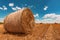 Round wheat hay bales drying in field stubble after harvest