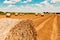 Round wheat hay bales drying in field stubble after harvest