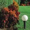 Round white lamp on the lawn in a thicket of Coleus on a Sunny day. Landscape design