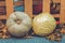 Round white pumpkin and cabbage. Pumpkin d cor with autumn cracks . Pumpkin in autumn