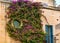 Round window overgrown with lush Bougainvillea branches
