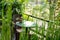 round wood table on terrace of house. wicker rattan chair on pat