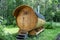 Round wooden barrel bath stands in the forest on a summer day