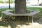 Round wooden bench around a tree