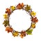 Round wreath from dry twigs, berries and autumn maple leaves