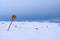 Round yellow sign banning dogs in a snowy landscape