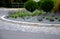 Roundabout of paving gray granite cubes, transport hub, with flowers and grasses in the middle of the circle. conifers shaped into