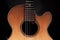 Roundback acoustic guitar with rosette purfling and extended fin