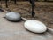 rounded granite boulders as a design element