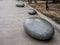 rounded granite boulders as a design element