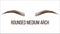 Rounded Medium Arch Vector Hand Drawn Brows Shape