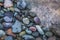 Rounded pebbles of different colours on the bank of River Lidder in Kashmir