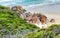 Rounded red rocks in Wilsons Promontory - Squeaky Beach