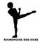 Roundhouse side kicks. Side kick. Sport exersice. Silhouettes of woman doing exercise. Workout, training