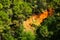 Roussillon ochre deposit: Beautiful orange cliffs and green pines
