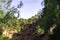 Roussillon, red rocks of Colorado colorful ochre canyon in Provence, France