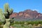 Route 66 Arizona cactus red mountain