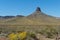 Route 66 in Arizona, wildflower season in the desert