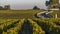 Route des Chateaux, Vineyard in Medoc, amous wine estate of Bordeaux wine