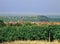 Route des vins alsace france