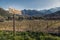 Route des vins road sign by Vineyard in Corsica