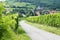 Route du vine, Alsace,