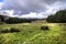 Route to Lochnagar from Glen Muick, Aberdeenshire, Scotland.