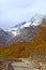 Route to Monte Croce Carnico pass, Alps, Italy