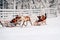 Rovaniemi, Finland - December 30, 2010: Couple greeting spectators during race on the Reindeer sleigh in Finland in Lapland in