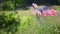 Row of American Flags Blowing in the Breeze