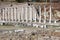 Row of ancient columns on the ruins of Pergamon lower city, Sanctuary of Asclepion, Turkey