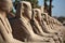 Row of ancient sphinxes