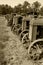 Row of Antique Tractors Sepia