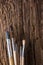 Row of artist paintbrushes close up on old natural rustic grunge