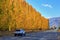 Row of autumn poplar trees beside a road. Otago region, New Zealand