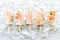 A row of beautiful grapefruit thyme popsicles on a bed of ice.