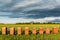 Row of Beehives Outdoor near Rapeseed or Canola Plantation. Beekeeping and Honey Productiom