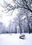 Row of benches covered in powdery soft snow