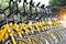 Row of bicycles parked. Yellow bicycles stand on a parking for r