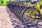 Row of bicycles parked. Yellow bicycles stand on a parking for rent.To save energy and environmentally friendly. Selective focus