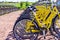 Row of bicycles parked. Yellow bicycles stand on a parking for rent.To save energy and environmentally friendly. Selective focus