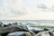 A row of birds flyin above the sea at Negombo beach in Sri Lanka on public holiday of the Vesak day