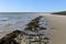 A row of black seaweed at the waterline closeup along the sea in springtime