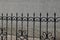 A row of black sharp iron fence bars