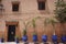 Row of blue planters containing a variety of potted plants near a weathered brick wall in Morocco